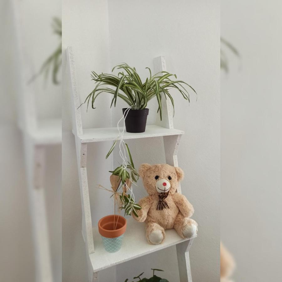 Martha'S Place Drac Подгориця Екстер'єр фото